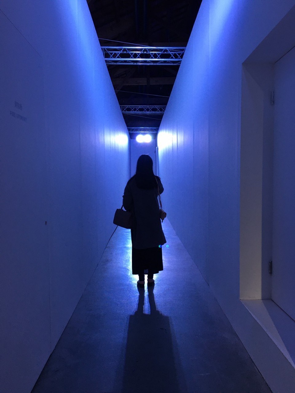 《去你的南極》展場照片