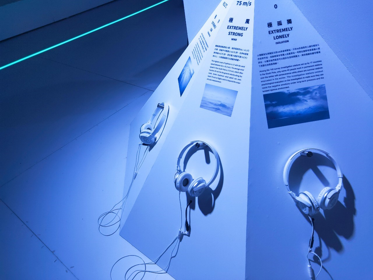 《去你的南極》展場照片