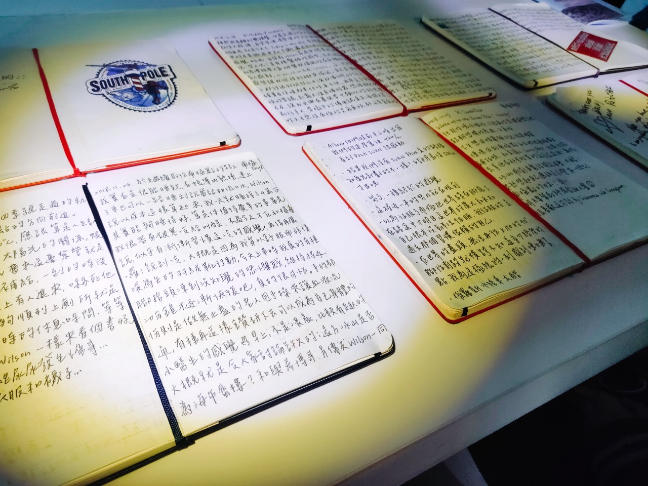 《去你的南極》展場照片