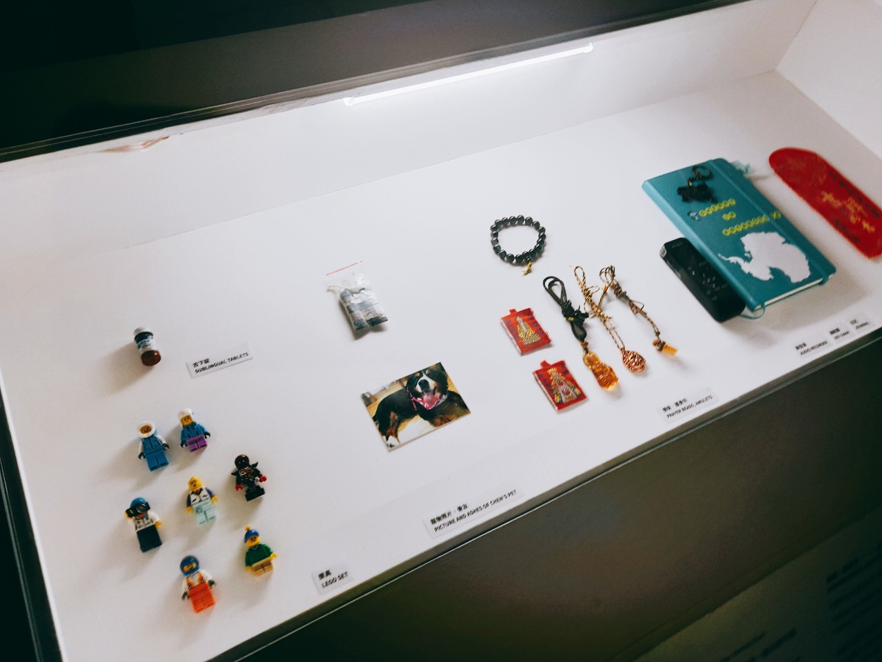 《去你的南極》展場照片