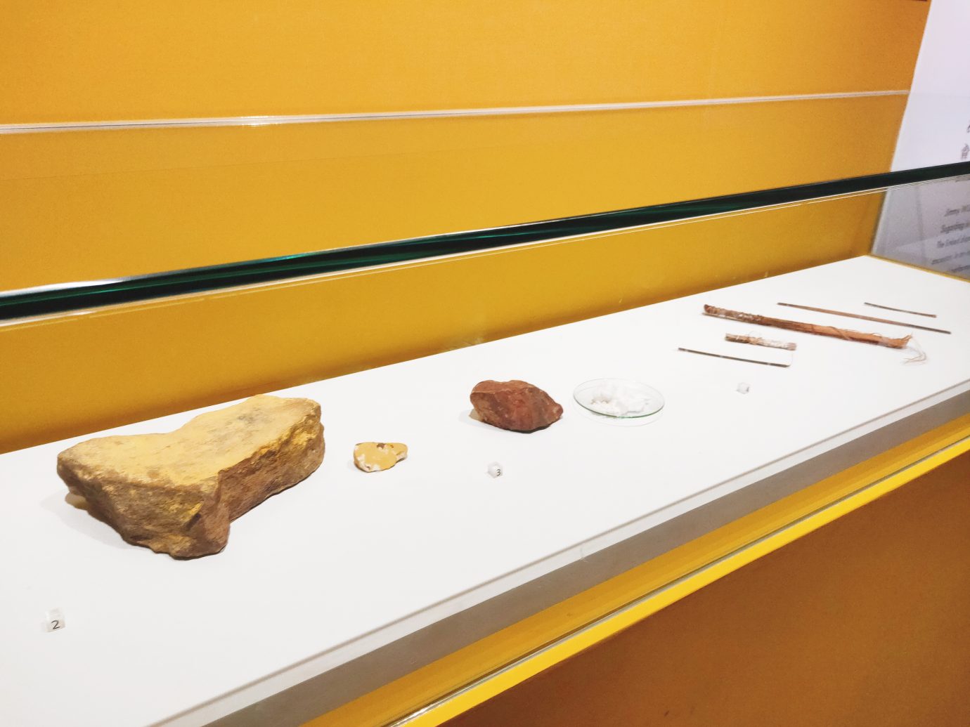 澳大利亞原住民樹皮畫特展