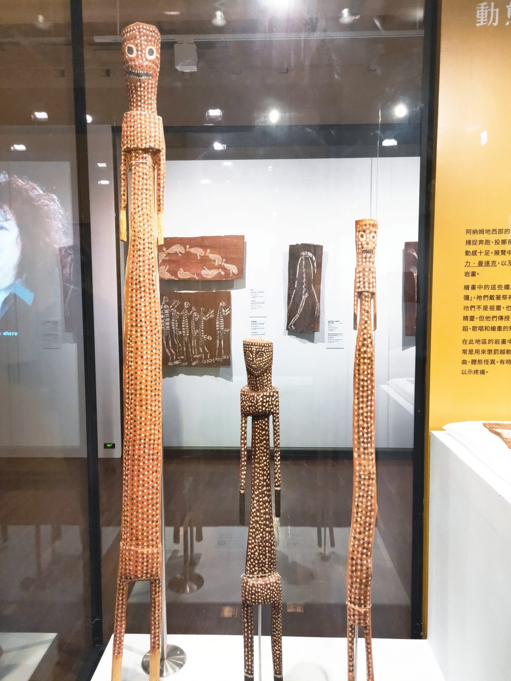 澳大利亞原住民樹皮畫特展