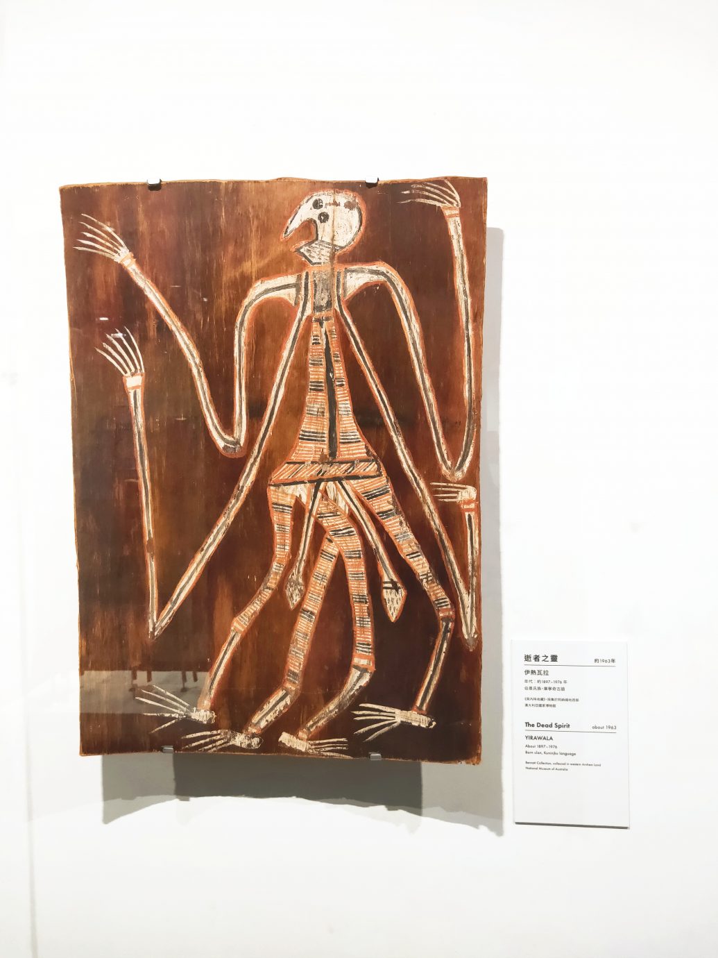 澳大利亞原住民樹皮畫特展