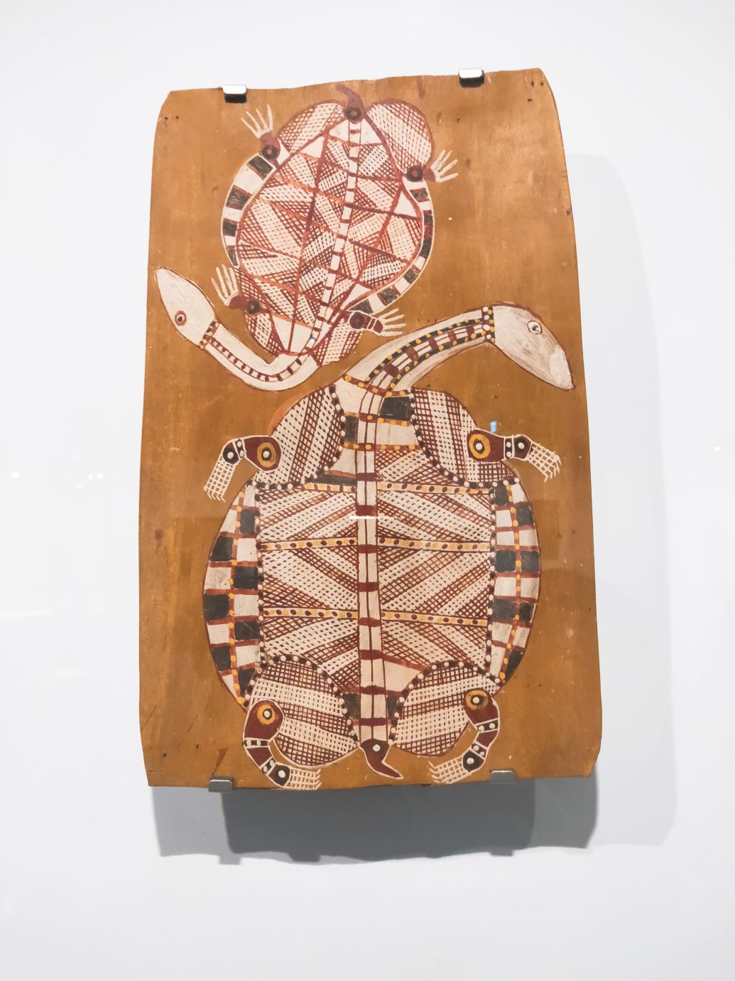 澳大利亞原住民樹皮畫特展