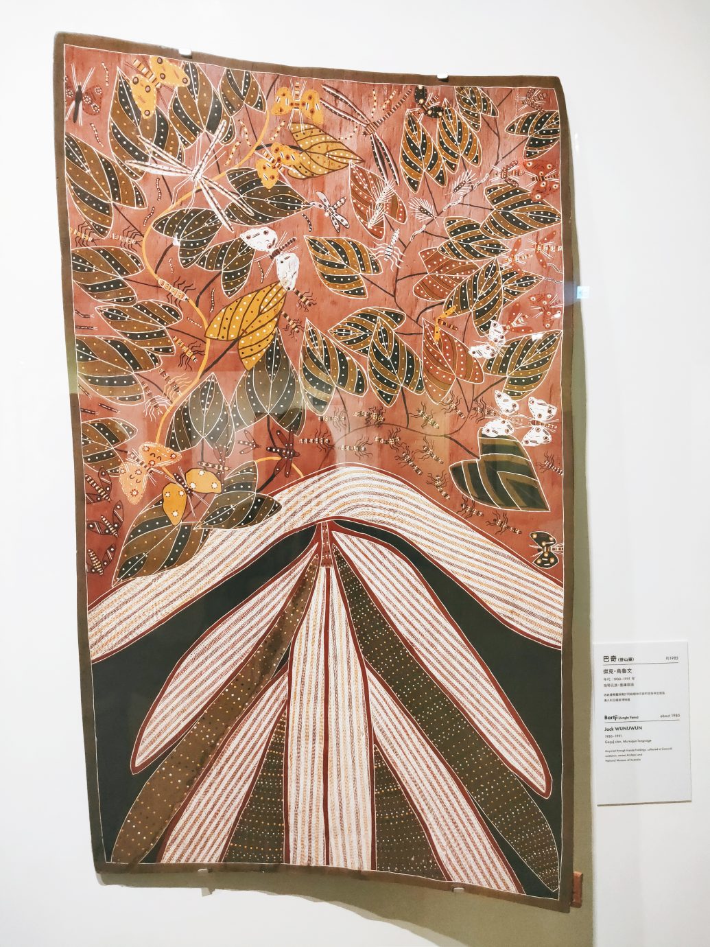 澳大利亞原住民樹皮畫特展