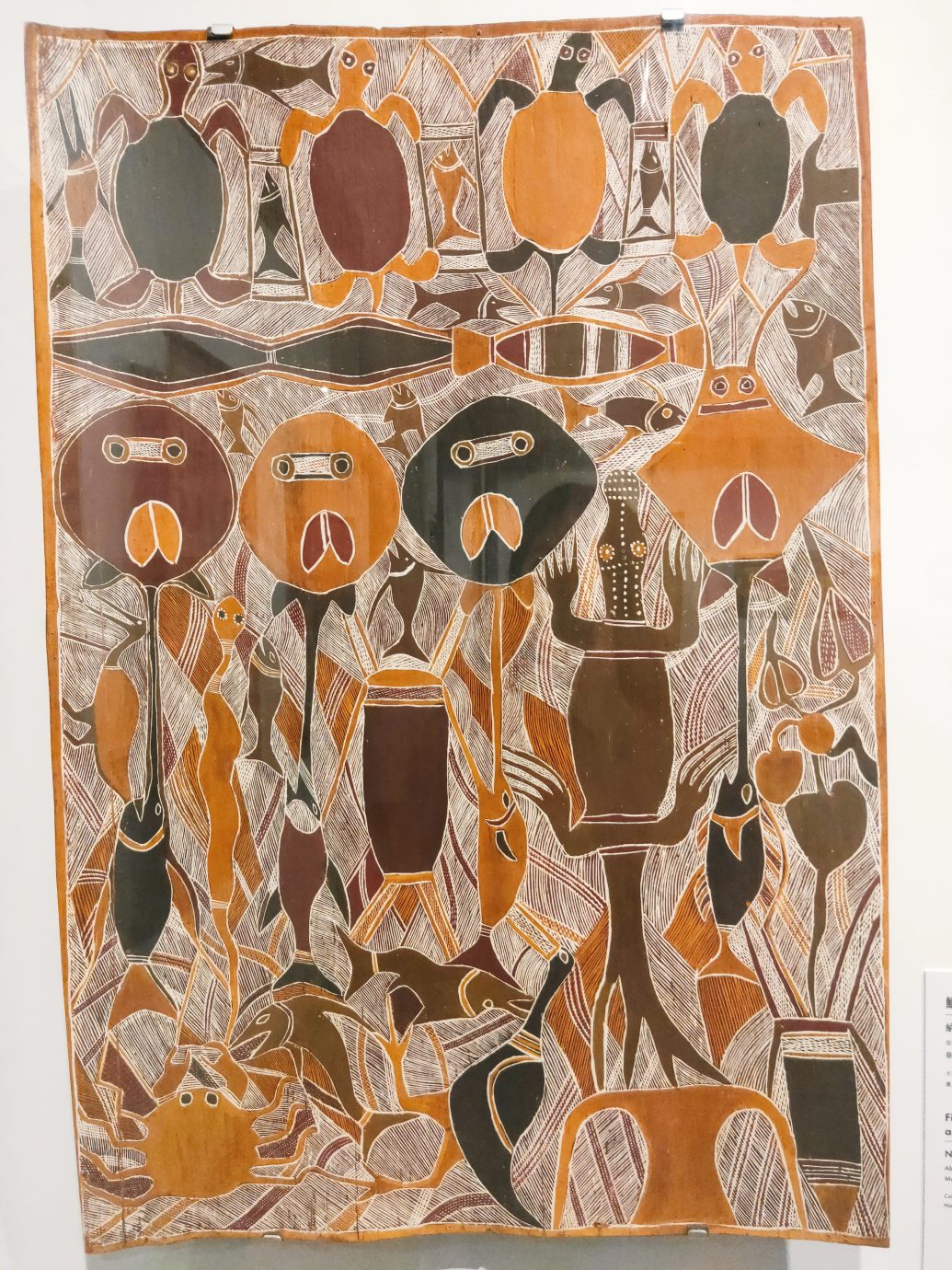 澳大利亞原住民樹皮畫特展