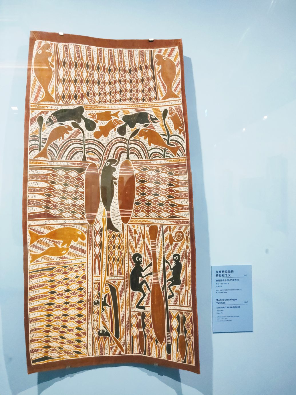 澳大利亞原住民樹皮畫特展