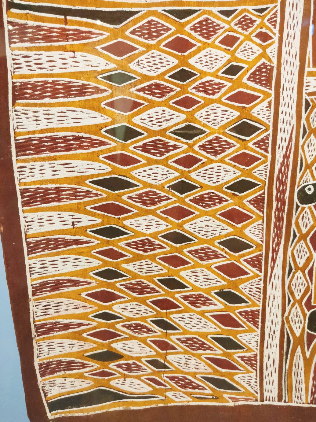 澳大利亞原住民樹皮畫特展