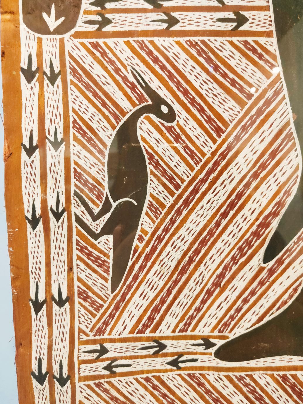 澳大利亞原住民樹皮畫特展