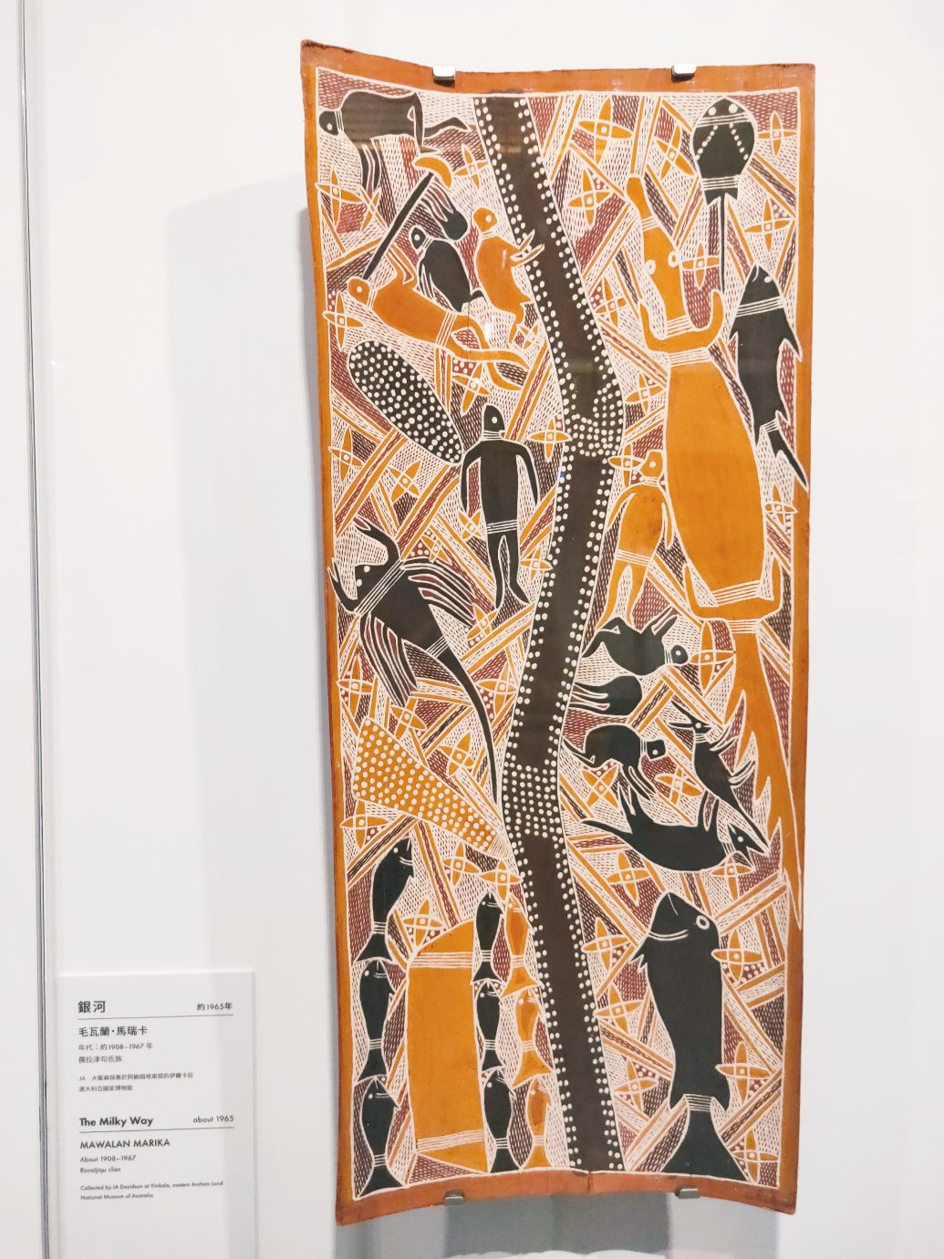 澳大利亞原住民樹皮畫特展