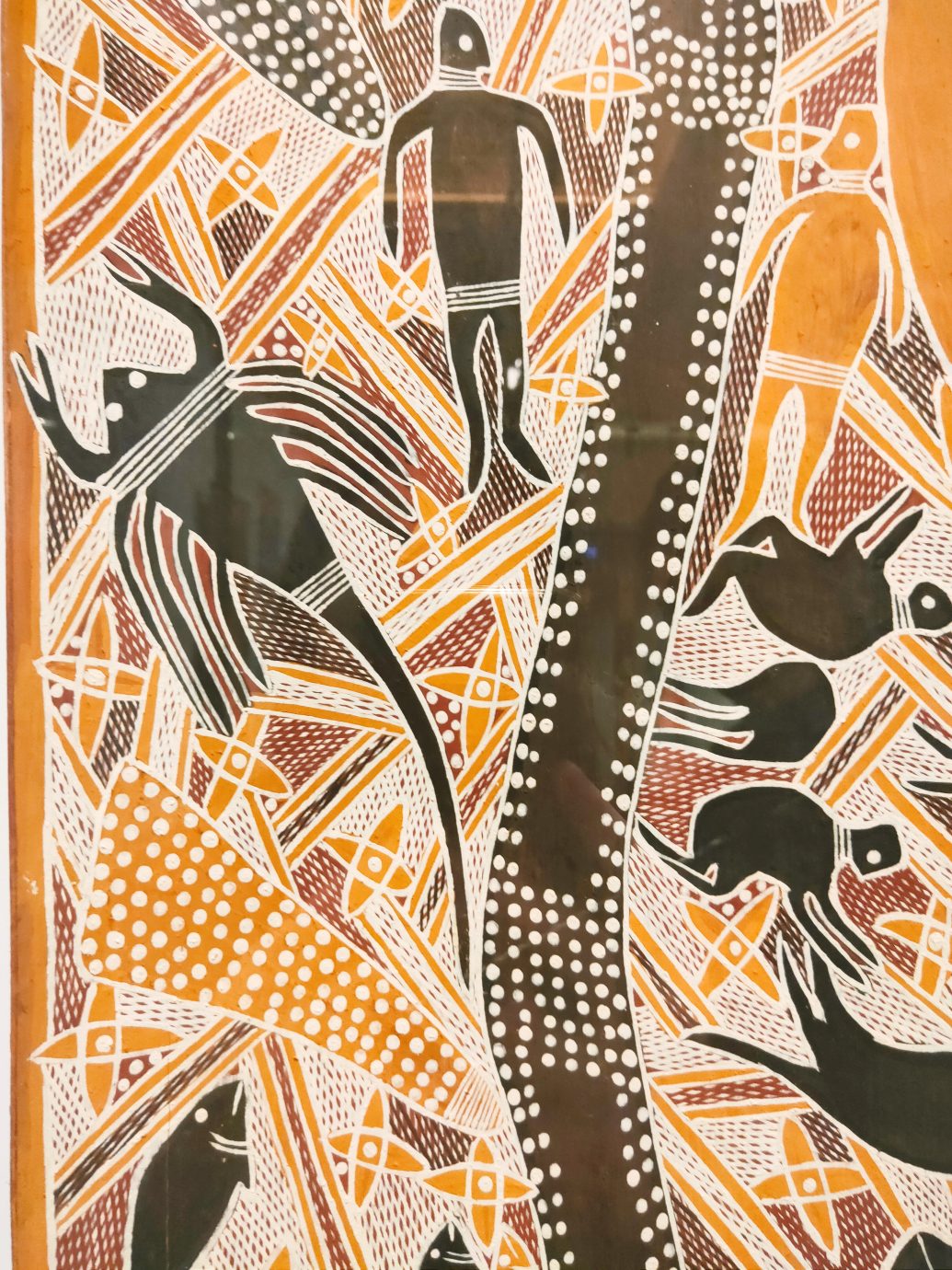 澳大利亞原住民樹皮畫特展