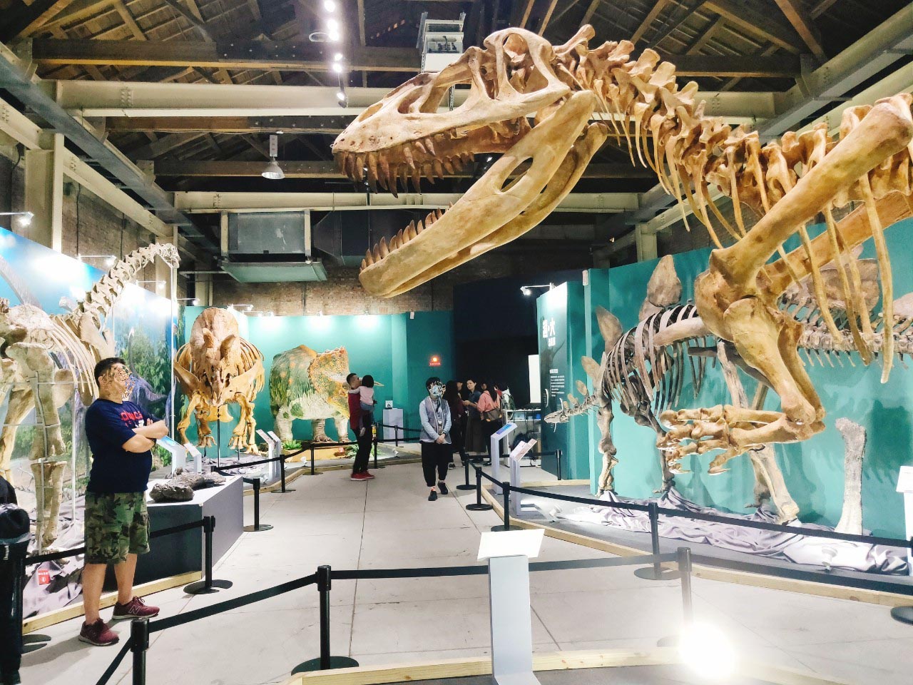 華山恐龍展