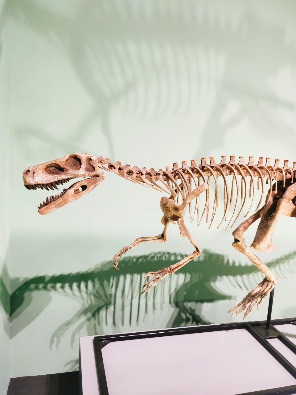 華山恐龍展