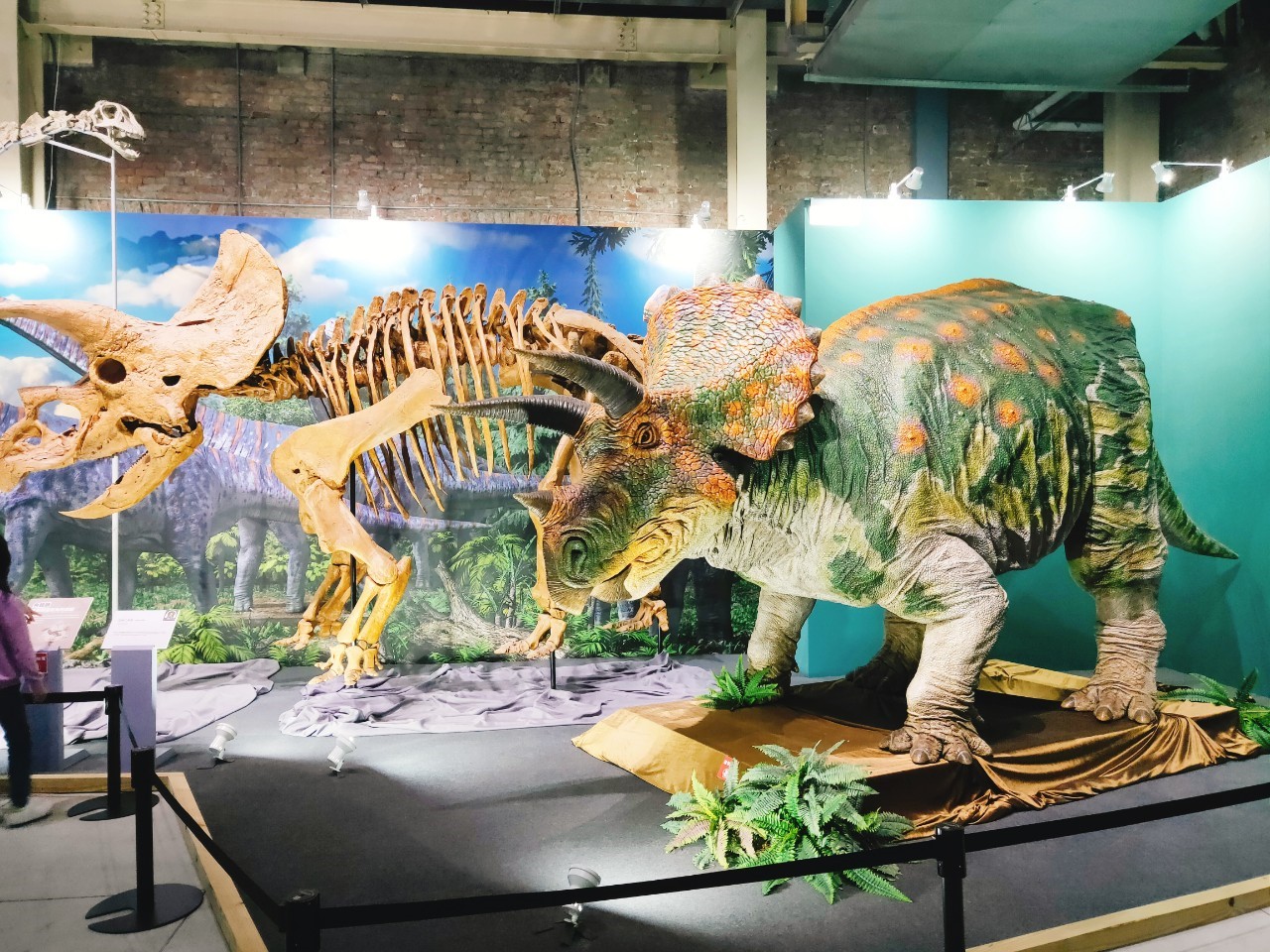 華山恐龍展