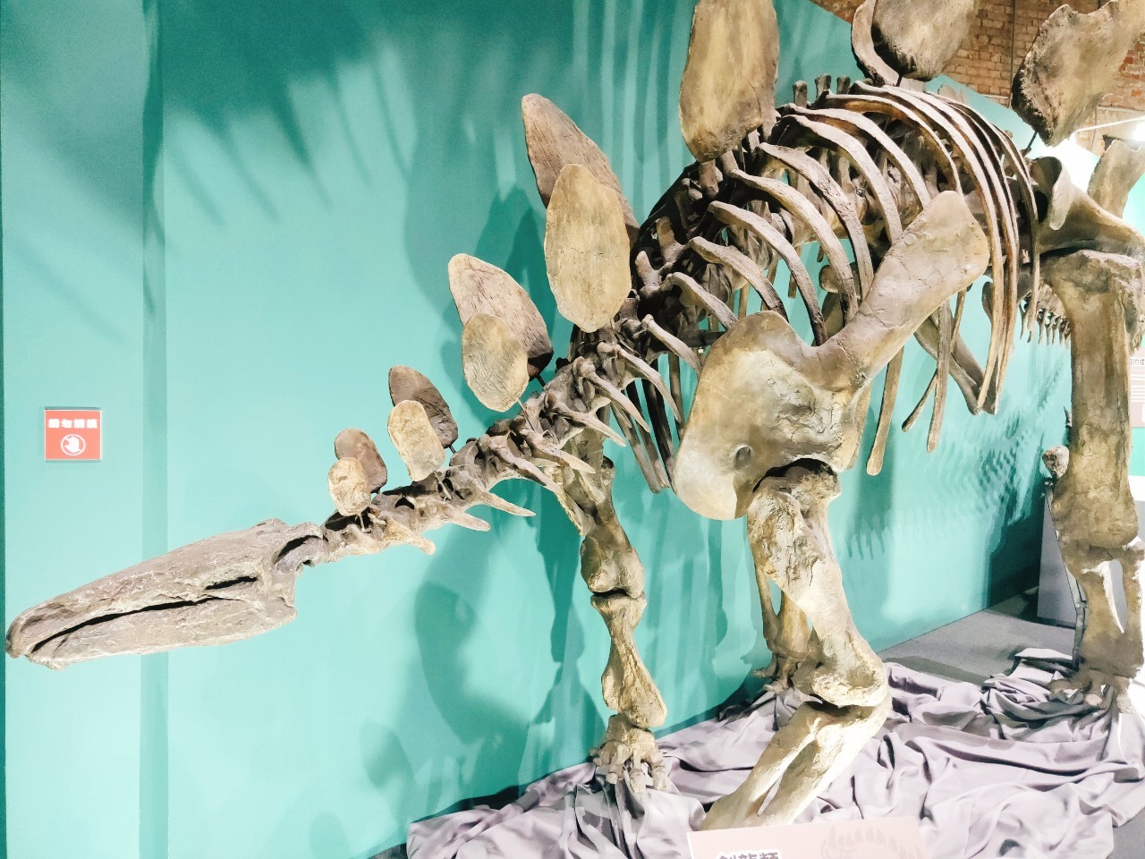 華山恐龍展