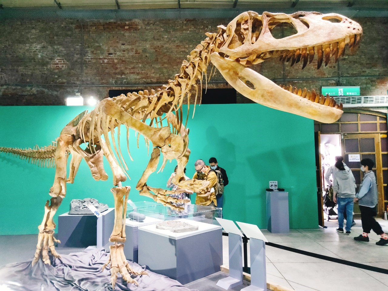 華山恐龍展