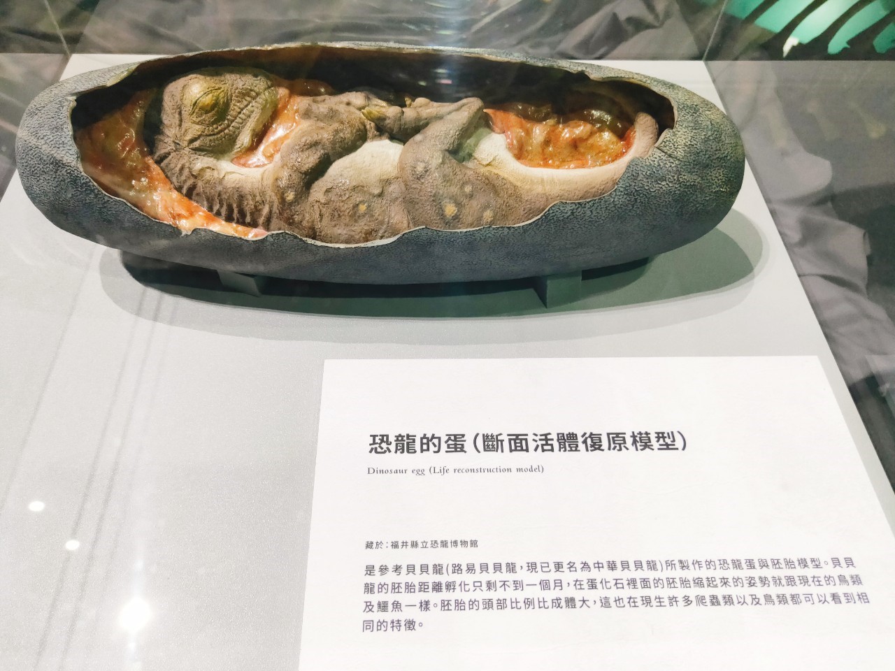 華山恐龍展