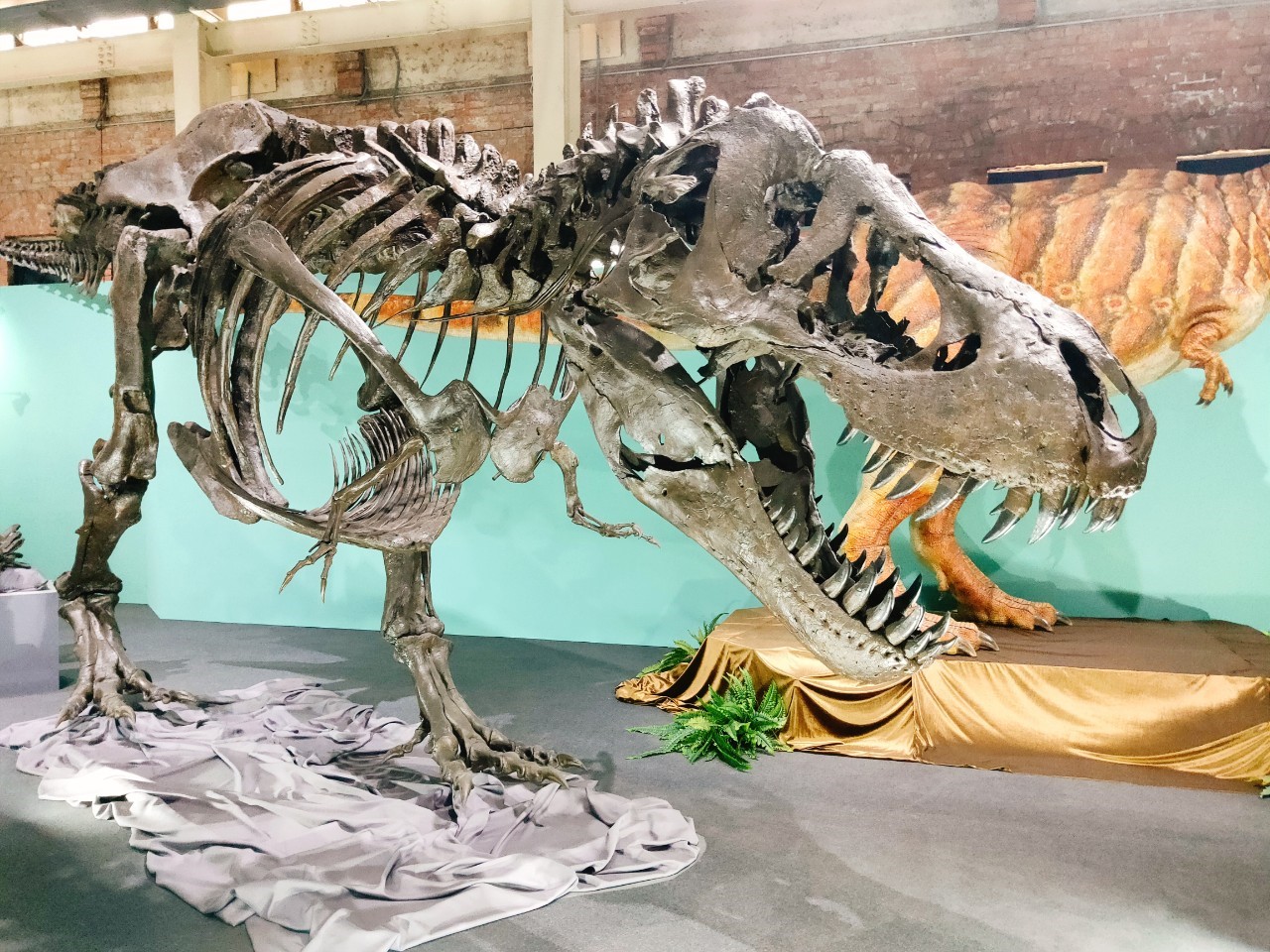 華山恐龍展