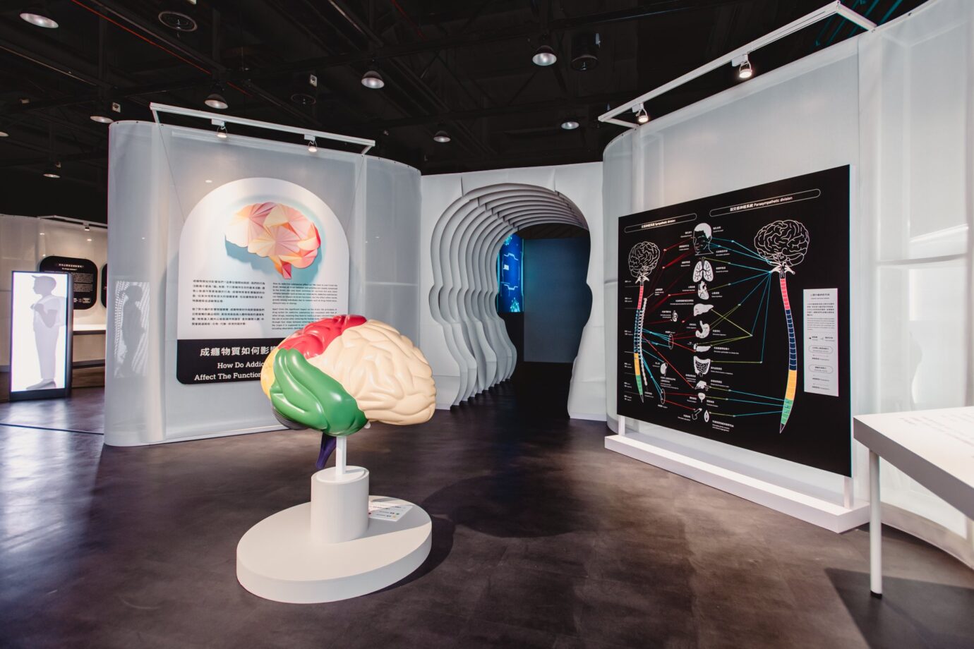 2020展覽推薦 2021展覽推薦