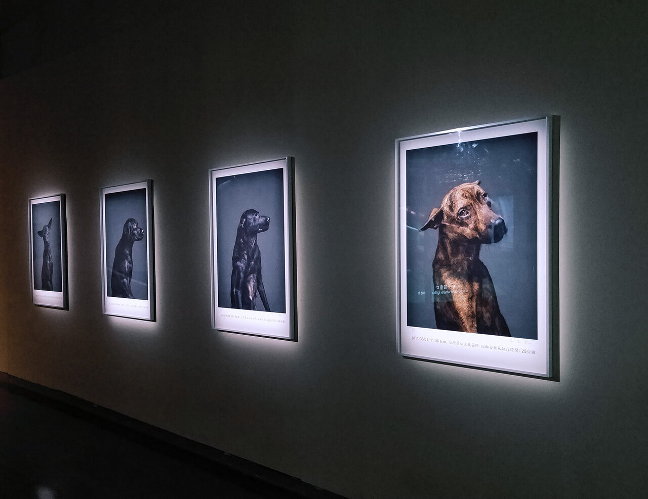 2020台灣美術雙年展《禽獸不如》