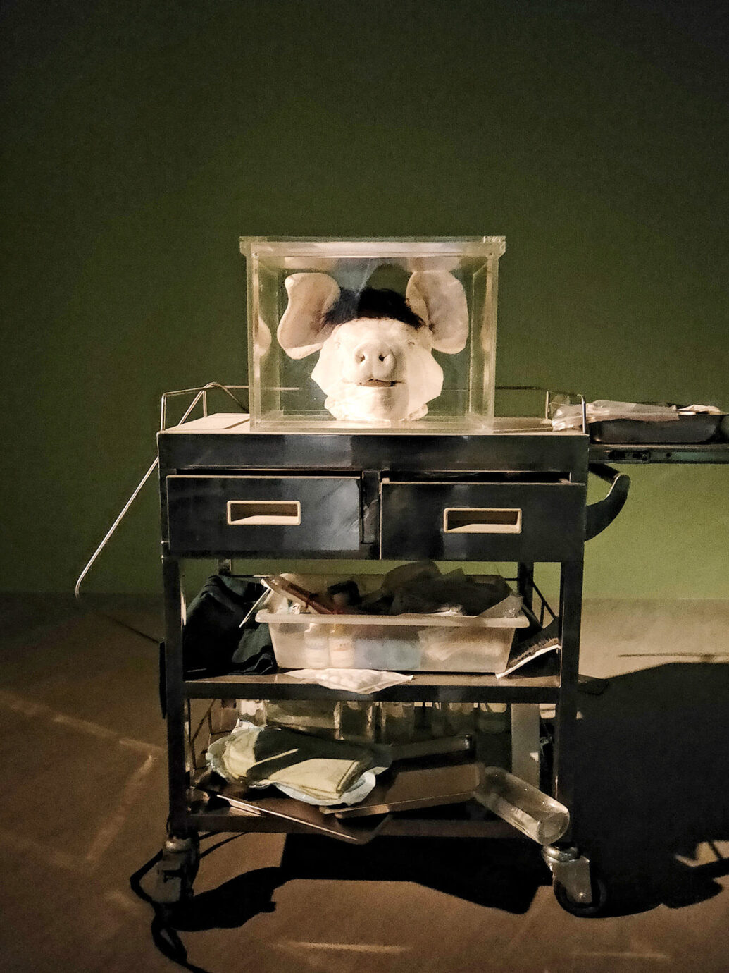 2020台灣美術雙年展《禽獸不如》