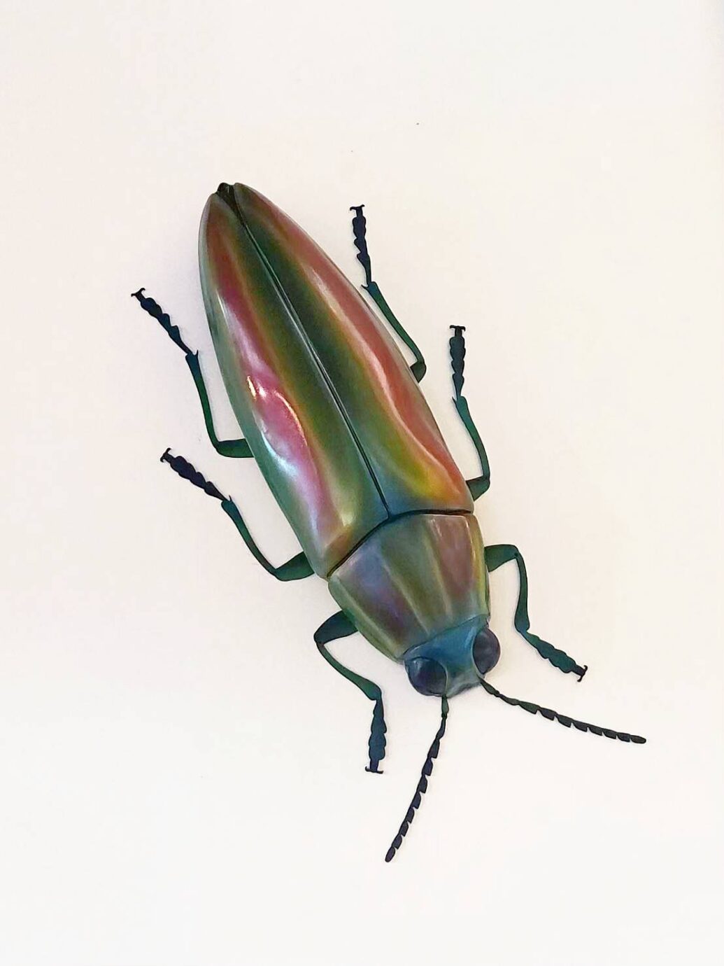 2020台灣美術雙年展《禽獸不如》