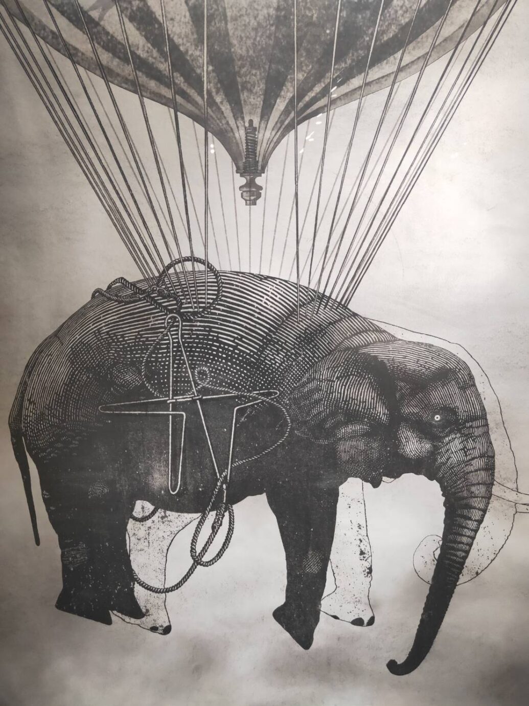 台北當代展推薦大遷徙盧明德